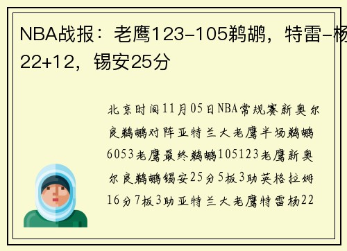 NBA战报：老鹰123-105鹈鹕，特雷-杨22+12，锡安25分
